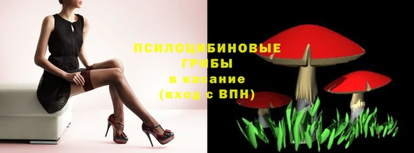 мдма Каменногорск