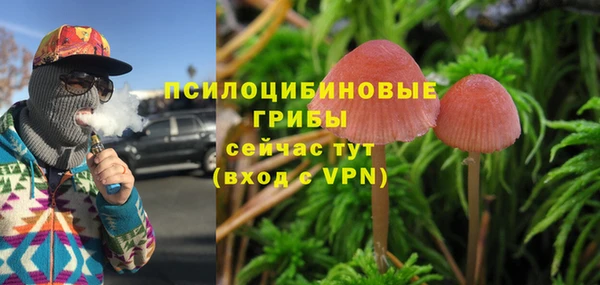mdpv Каменка