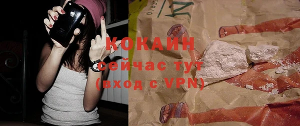 mdpv Каменка
